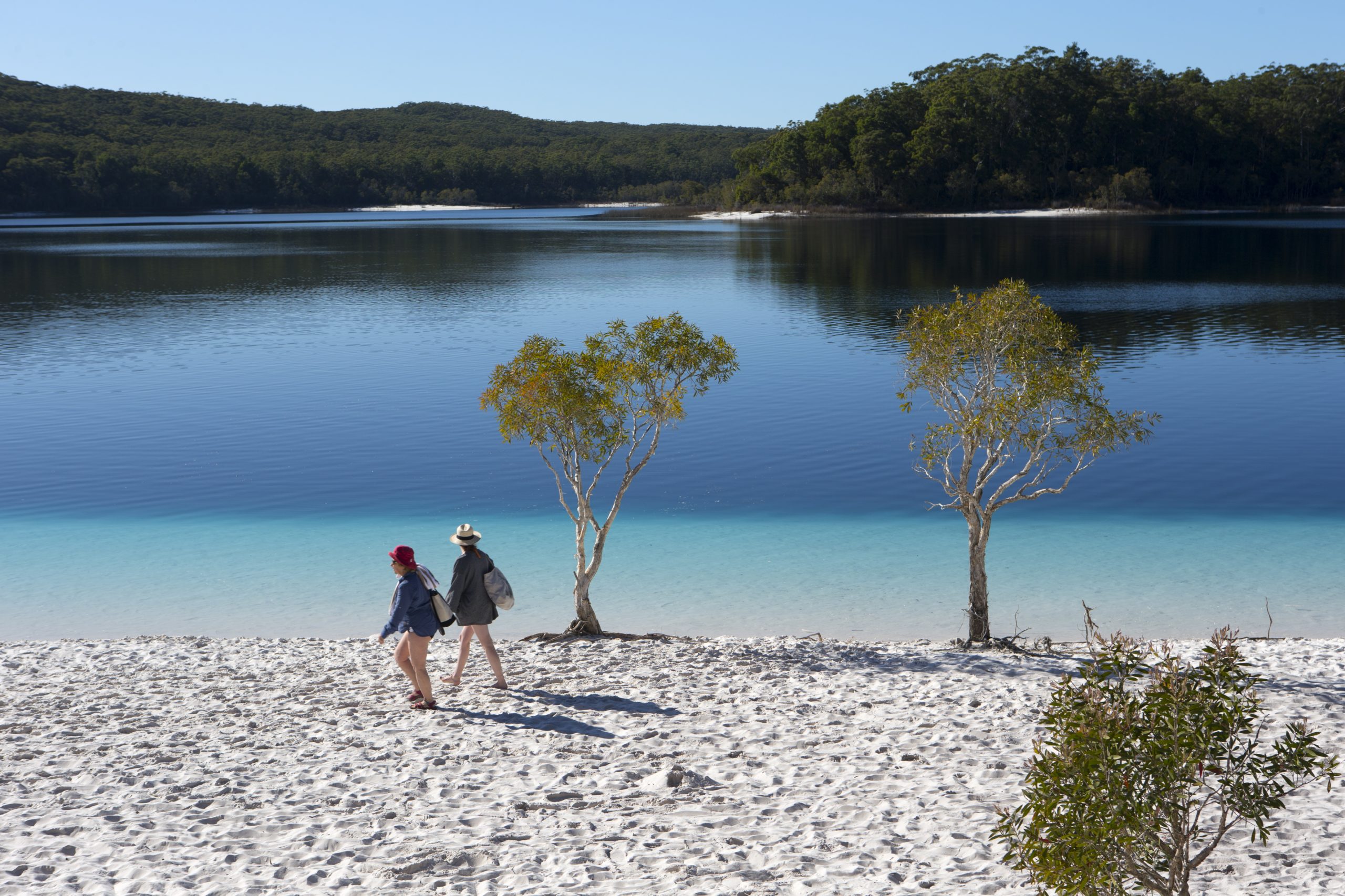 lake-mckenzie-fraser-island