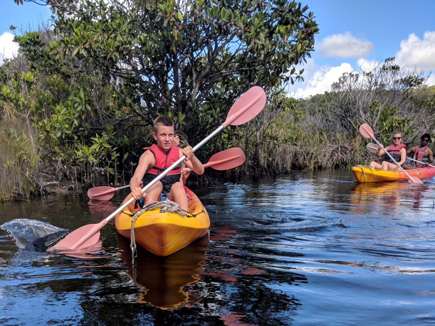 tasman-venture-remote-fraser